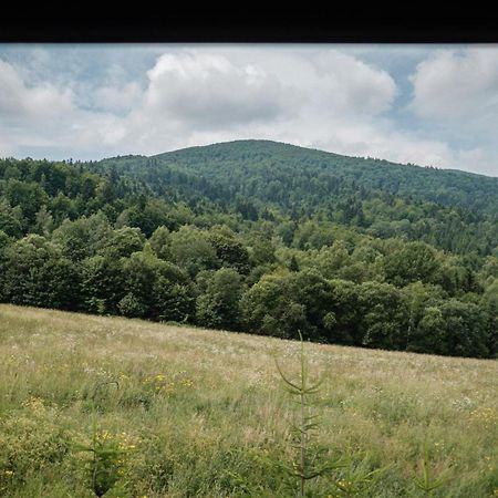 Dom Malowany Wetlina Exteriér fotografie
