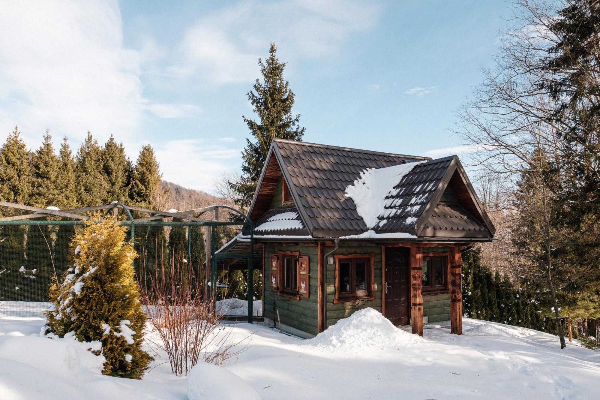 Dom Malowany Wetlina Exteriér fotografie